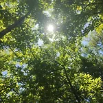 O Recuncho Da Isa - Ribeira Sacra Casa vacanze *