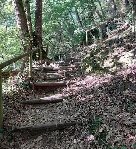 O Recuncho Da Isa - Ribeira Sacra بيت للعطل *